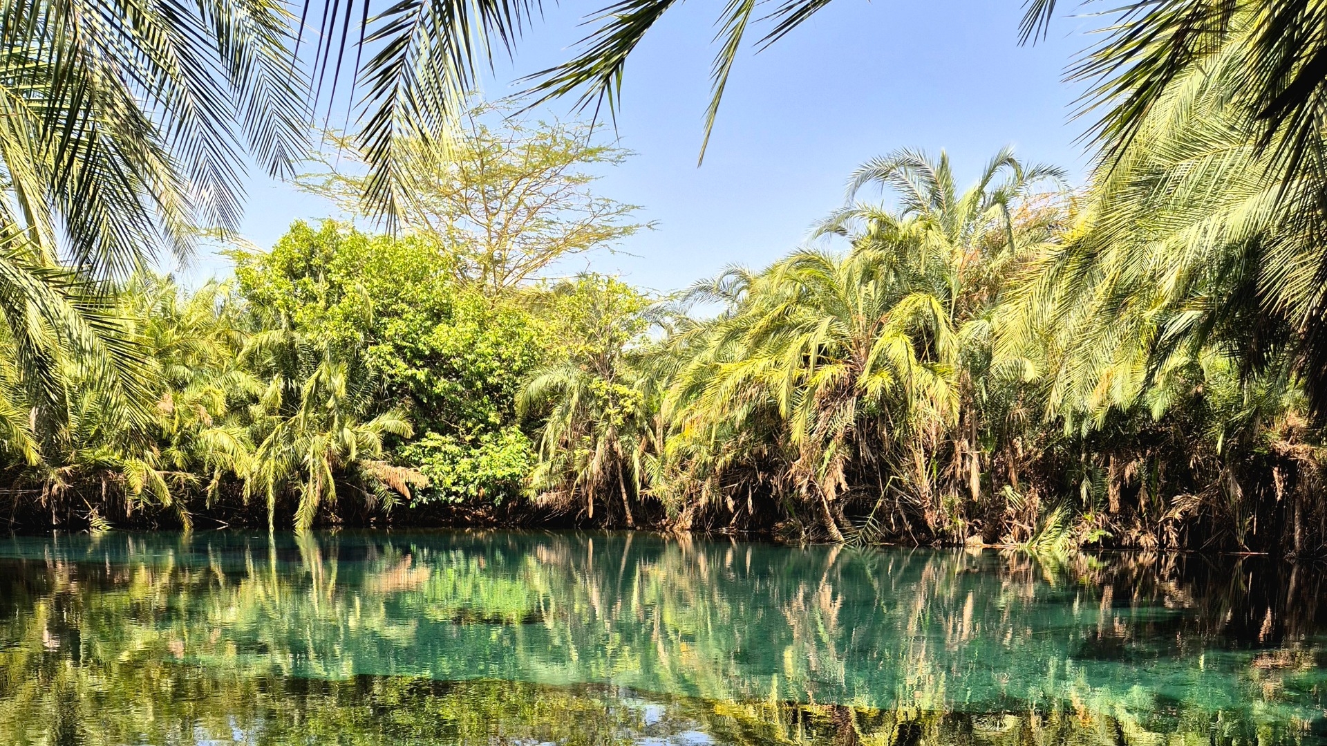 Chemka Hot Springs - Tansanias versteckte Oase nahe dem Kilimanjaro