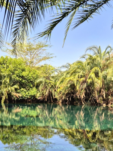 Chemka Hot Springs - Tansanias versteckte Oase nahe dem Kilimanjaro