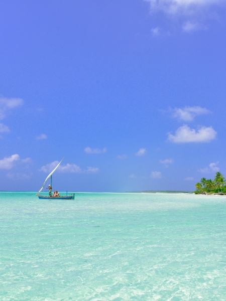With the wind of Zanzibar