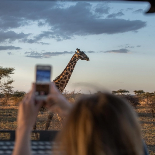 6 Tage Nordtansania - Safari zwischen Flamingos & Vulkankrater