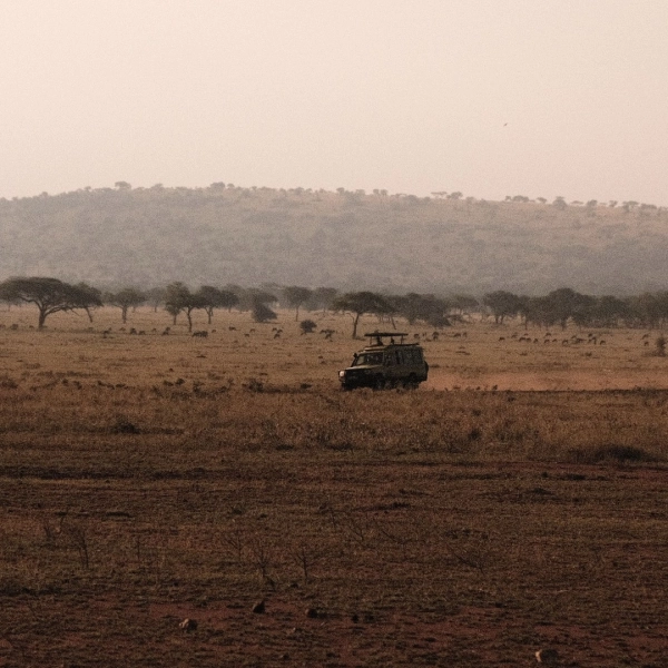 10 Tage Kenia Safari