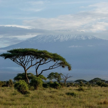 Kilimanjaro Nationalpark 