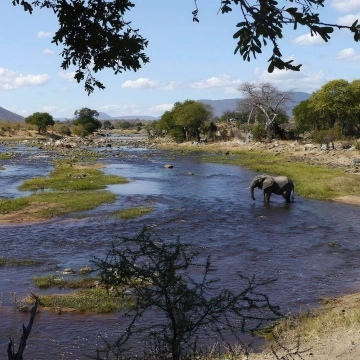 Ruaha