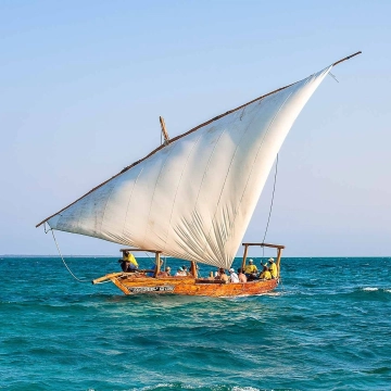Safari Blue Zanzibar