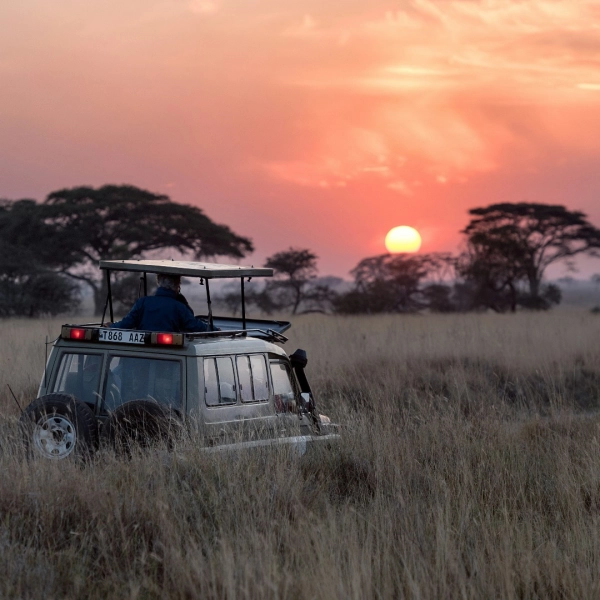 10 Tage zwischen Safari & Sansibar