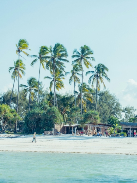 Sansibar - Gewürzinsel, Geschichte & Paradies am Indischen Ozean