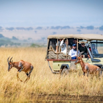 Masai Mara National Reserve