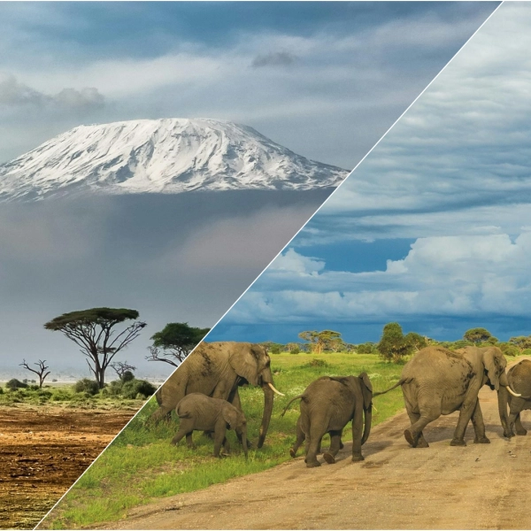 Kilimanjaro & Safari